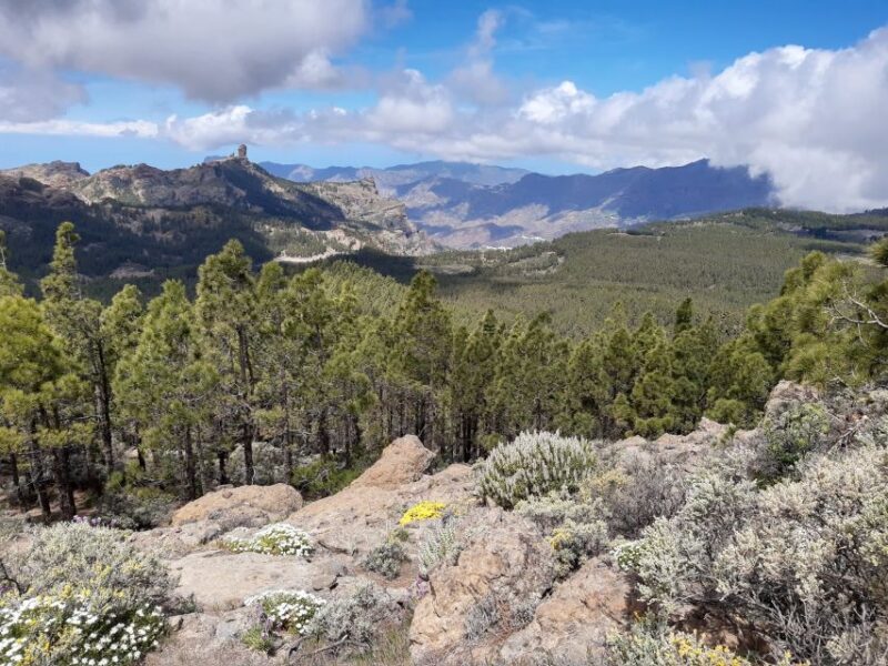 Gran Canaria: "Peaks of Gran Canaria" Hiking Tour - Final Thoughts