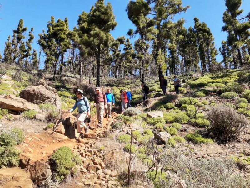 Gran Canaria: "Peaks of Gran Canaria" Hiking Tour - Final Recommendation
