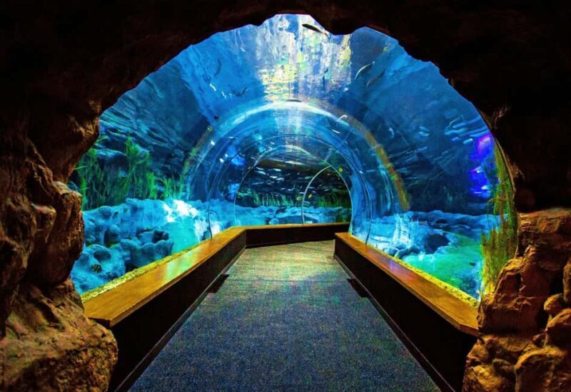 Gran Canaria: Poema del Mar Aquarium & Guayadeque Tour - Final Thoughts: Who Will Love This Tour?