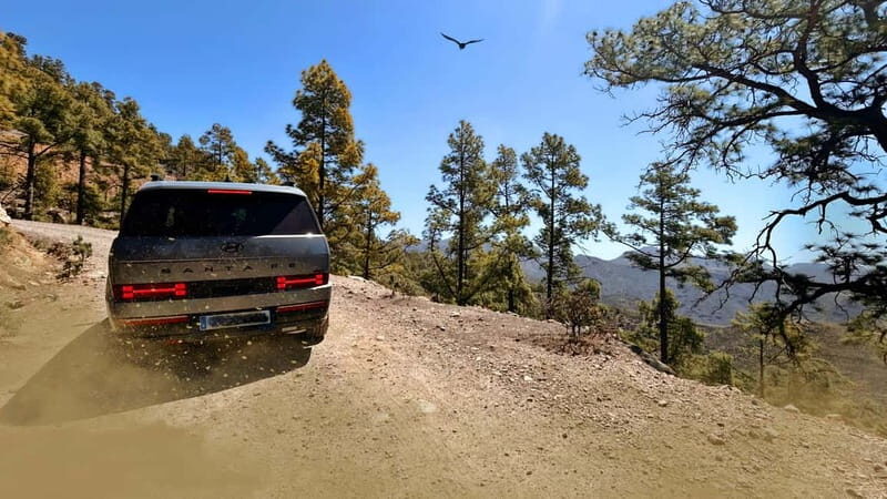 Gran Canaria: Premium Safari 4x4 Tour with Local Guide - Aloe Vera Farm: Natural Benefits and Local Crafts