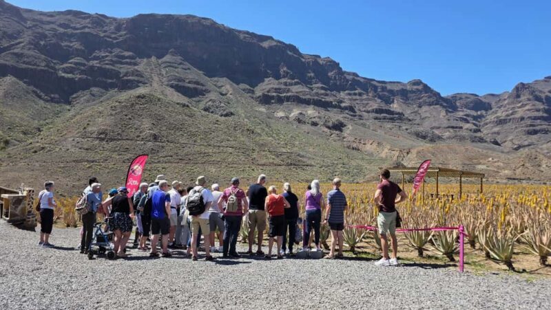 Gran Canaria: Premium Safari 4x4 Tour with Local Guide - The Practicalities: What’s Included and What’s Not