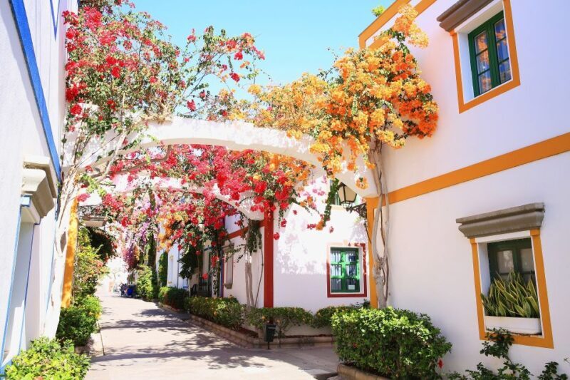 Gran Canaria - Puerto de Mogán & Market - Overview of the Tour Experience