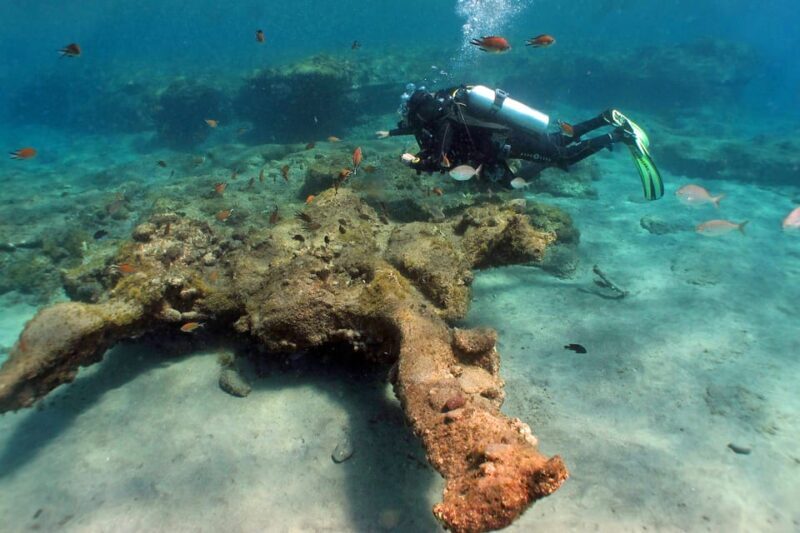 Gran Canaria Scuba Diving: 1-Day 2-Dive Package - Who Should Consider This Tour?