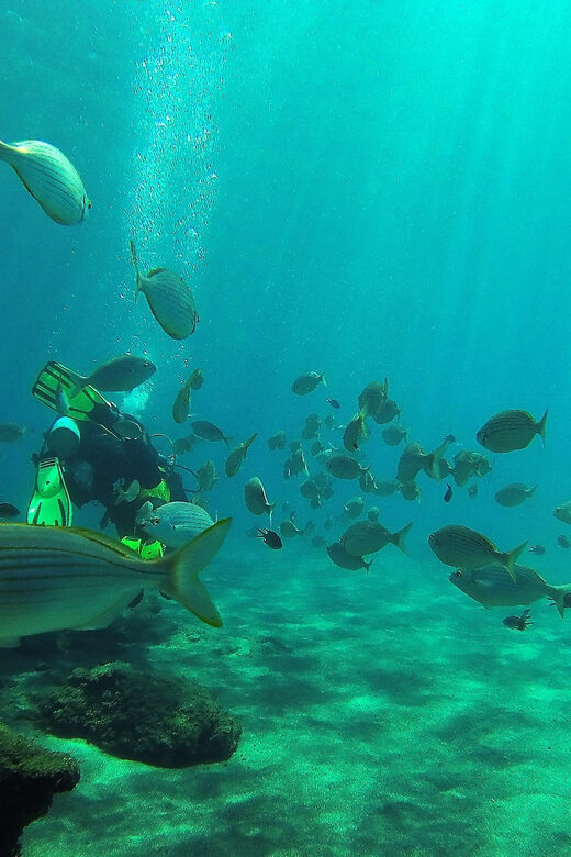 Gran Canaria Scuba Diving: 3-Day 6-Dive Package - What to Consider Before Booking