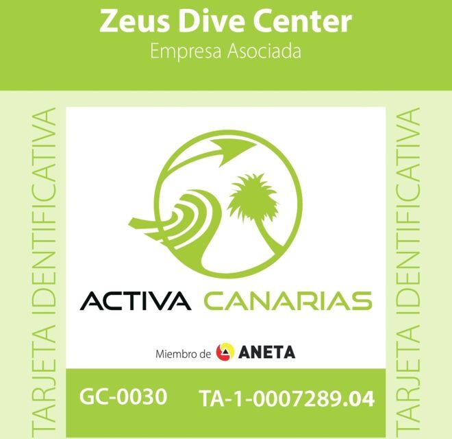 Gran Canaria Scuba Diving for Certified Divers - Dive Sites and Underwater Highlights