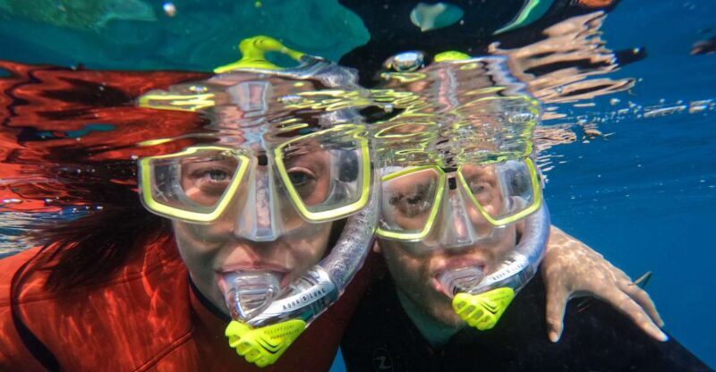 Gran Canaria: Snorkel tour with boat on the west coast - Frequently Asked Questions