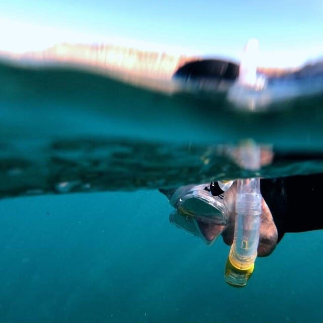 Gran Canaria: Snorkeling Trip - What to Expect From the Snorkeling Trip