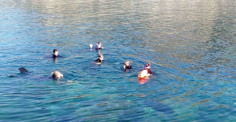 Gran Canaria: Snorkeling Trip - Practical Details to Keep in Mind