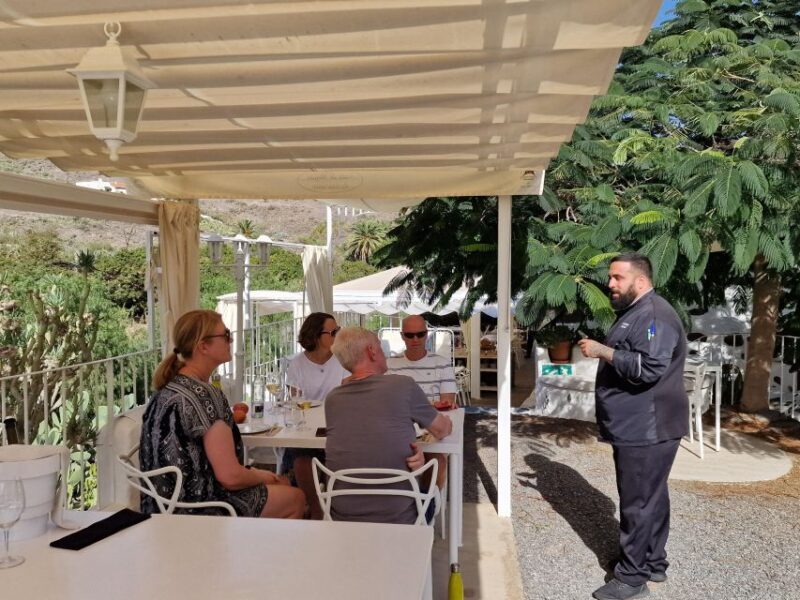 Gran Canaria: Tasting wine & local cheese in Mogan - Price and Value