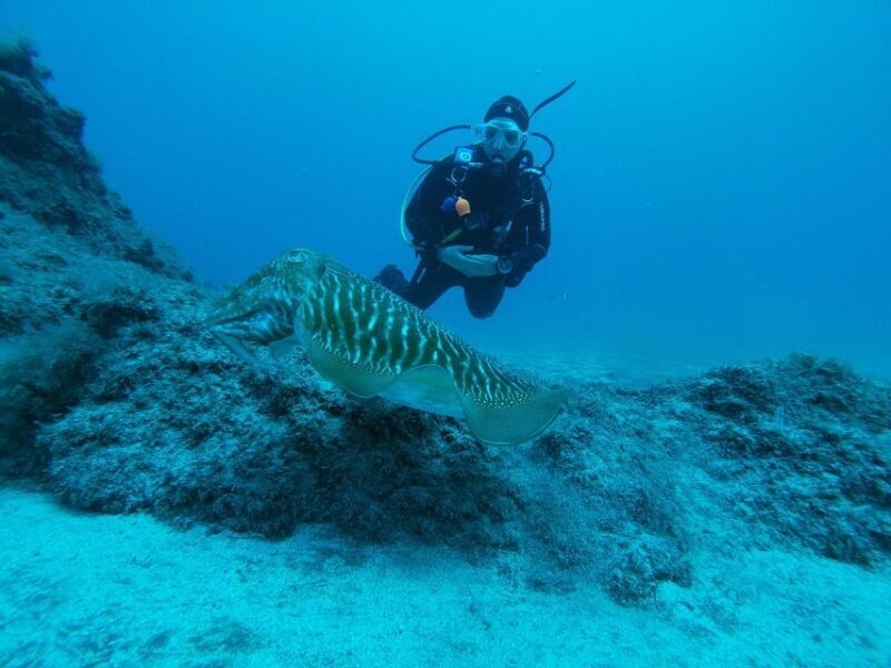 Gran Canaria: Try Scuba Diving for Beginners - Who Should Consider This Experience?