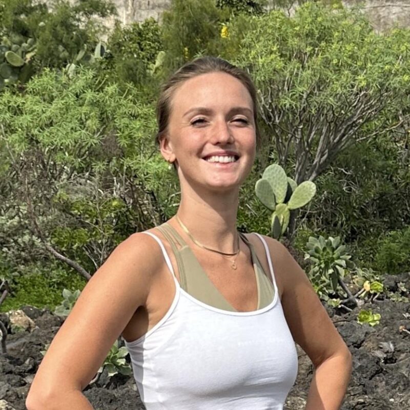 Gran Canaria: Volcano Sunset Tour and Local Food Tasting - Discovering Gran Canaria’s Unique Volcanic Landscape