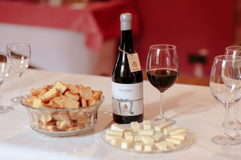 Gran Canaria: Winery Tour, Wine Museum, and Tasting - An Honest Look at the Gran Canaria Winery Experience