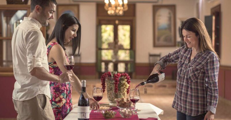 Gran Canaria: Winery Tour, Wine Museum, and Tasting - Practical Details & Tips