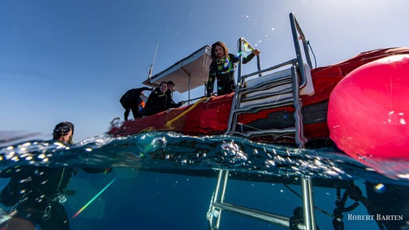 Gran Canaria:Live an Adventure and Learn to Dive with Expert - Conclusions: Who Will Love This Experience?