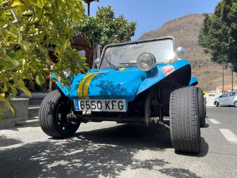 Gran Canary: 70's VW Buggy Tour - The Vehicles and Guides
