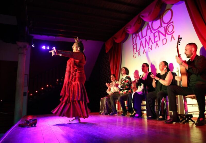 Granada: 1-Hour Traditional Flamenco Show at Palacio - What to Expect During the Show