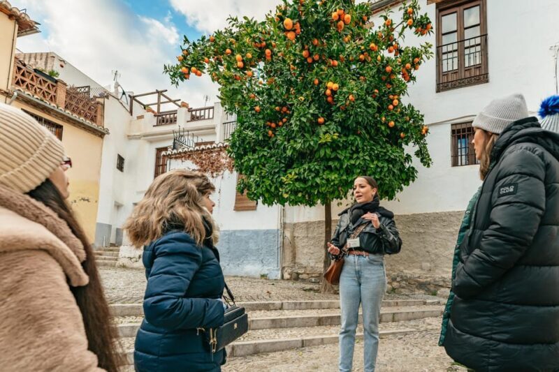 Granada: Albaicín and Sacromonte Guided Sunset Walking Tour - A Walk Through Granada’s Most Famous Neighborhoods