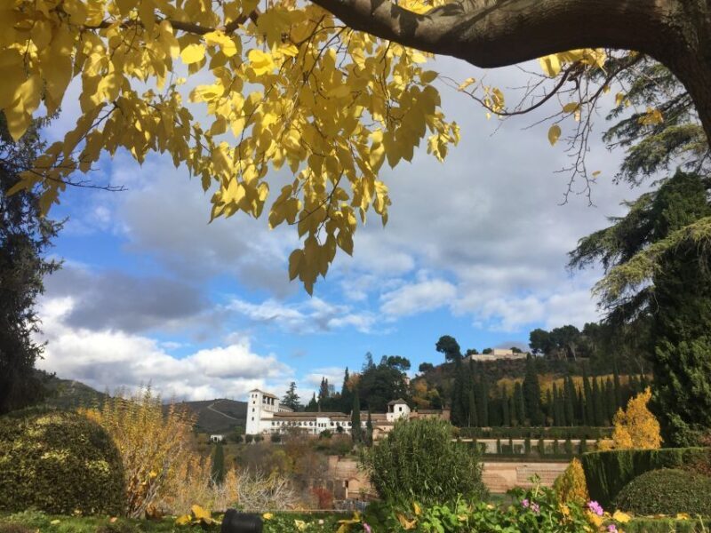 Granada: Alhambra & Generalife Fast-Track Guided Tour - Practical Tips for Your Visit