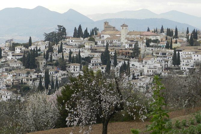 Granada Day Trip: Alhambra & Nazaries Palaces from Seville - The Experience in Practice