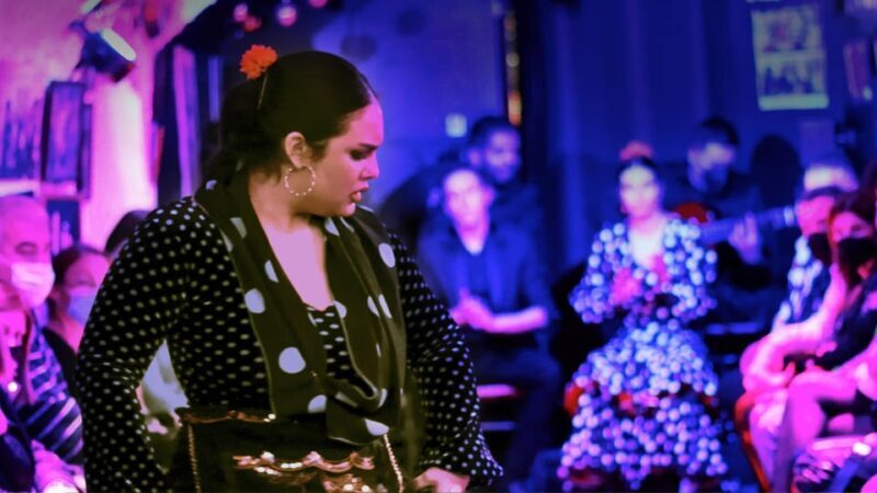 Granada: Flamenco Show at Cueva de la Rocío - The Experience at Cueva de la Rocío — What You Can Expect