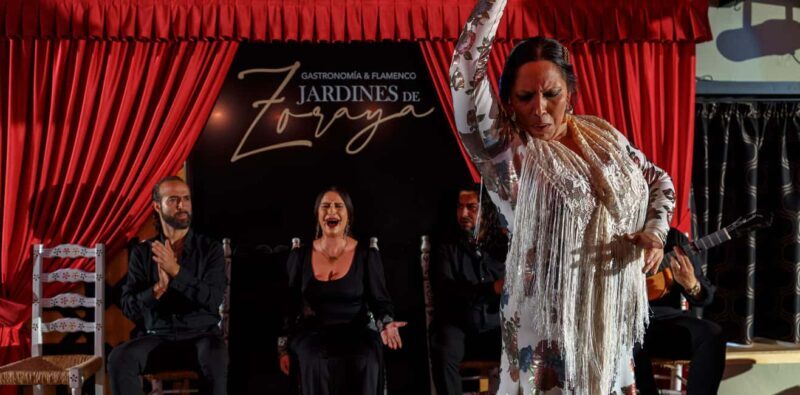 Granada: Flamenco Show in Albayzín - Jardines de Zoraya - What the Reviews Say