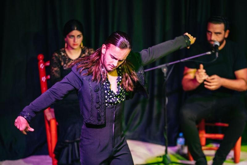 Granada: Flamenco Show in La Alboreá - Comfort notes: tight seating, sound quirks, and how to handle kids