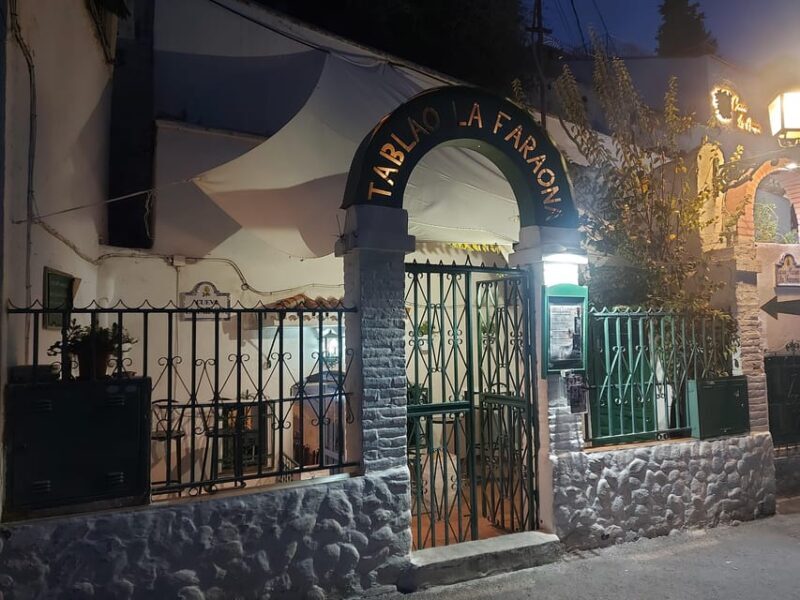 Granada: Flamenco Show in the Cave LA FARAONA - What to Expect from the Flamenco Show at La Faraona