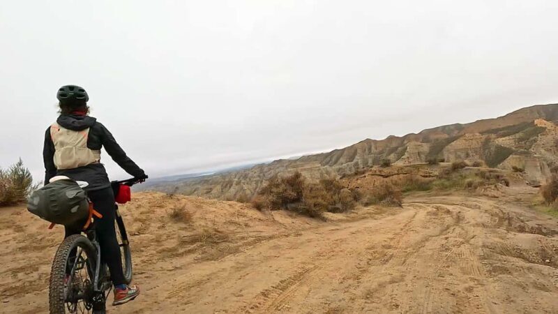 Granada: Gorafe Desert E-Mountain Bike Tour with Transfer - Who Would Love This Experience?
