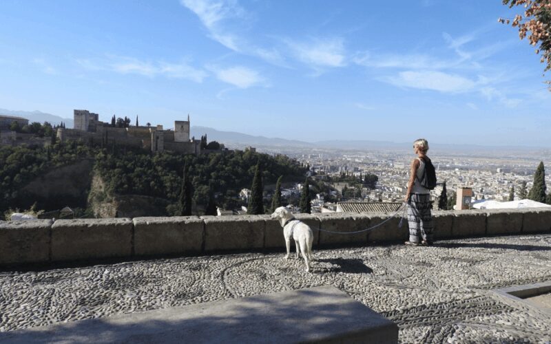 Granada: Guided Albaicín Visit with Pets - Practical Details and Considerations