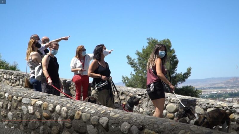 Granada: Guided Albaicín Visit with Pets - Final Thoughts