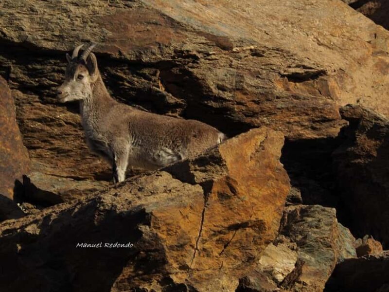 Granada: Guided Hiking Tour - Exploring the Details of the Granada Guided Hiking Tour