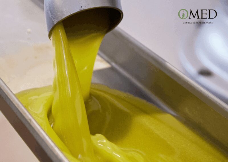 Granada in EVOO: Authentic guided tour, tasting and tapas - Who Will Enjoy This Tour?