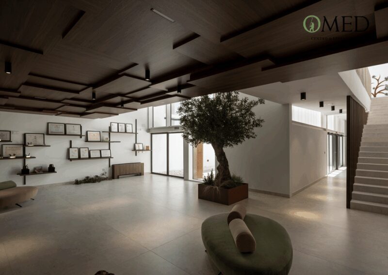 Granada in EVOO: Guided tour and unique sensorial tasting - An In-Depth Look at the Olive Oil Tour Near Granada