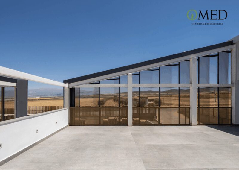 Granada in EVOO: Guided tour and unique sensorial tasting - Some Considerations