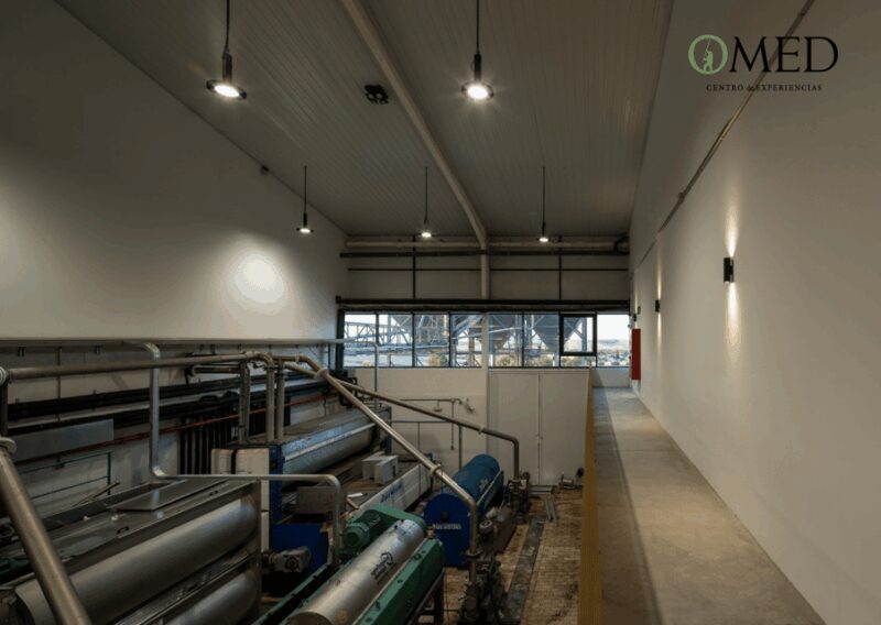 Granada in EVOO: Guided tour and unique sensorial tasting - Who Should Consider This Tour?