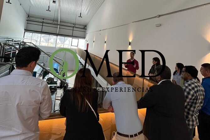 Granada in EVOO: Guided tour and unique sensorial tasting - Key Points