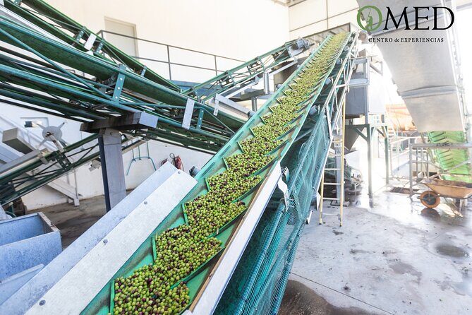 Granada in EVOO: Guided tour and unique sensorial tasting - FAQ