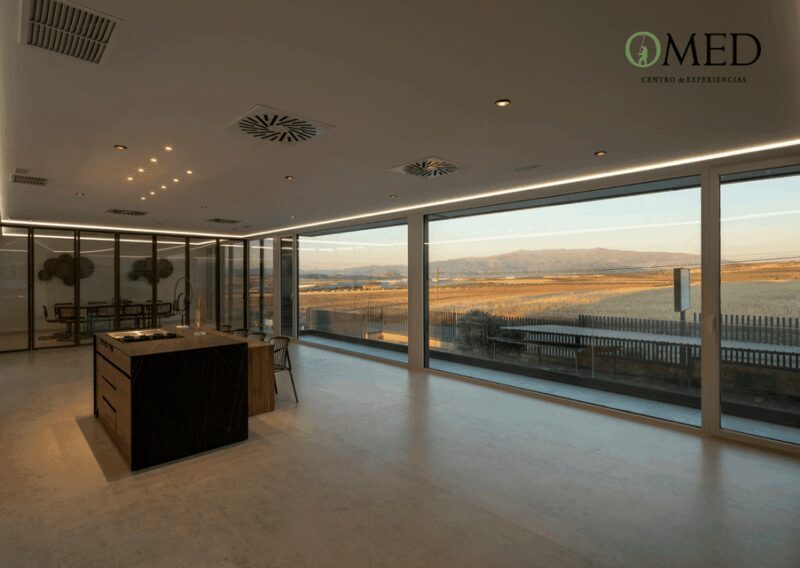 Granada in EVOO: Olive grove guided tour and sensory tasting - The Value for Money