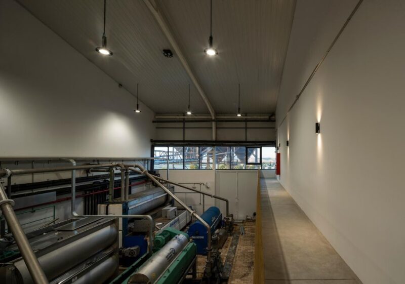 Granada in EVOO: Olive grove guided tour and sensory tasting - The Sum Up