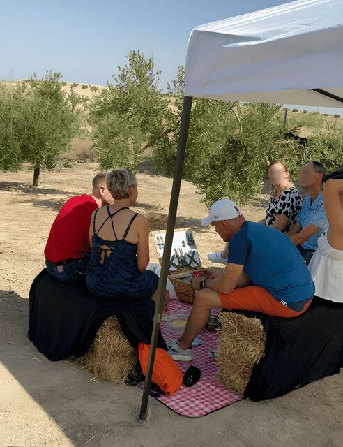 Granada in EVOO: Picnic among olive trees and unique views - Who Should Consider This Experience?
