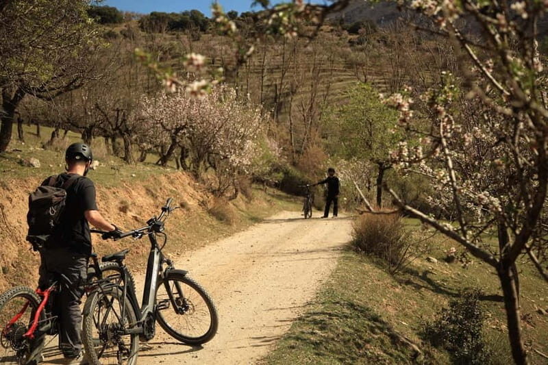 Granada: Nature, Wildlife and Authentic Villages E-bike Tour - FAQs