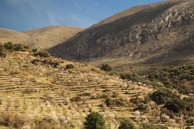 Granada: Nature, Wildlife and Authentic Villages E-bike Tour - The Itinerary: What You’ll Cover
