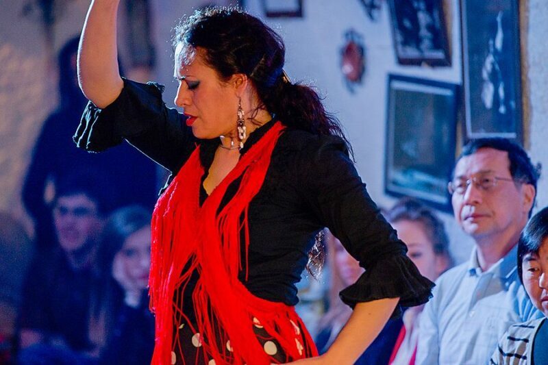 Granada: Sacromonte Caves Flamenco Show with Dinner - Discovering the Cave Setting in Sacromonte