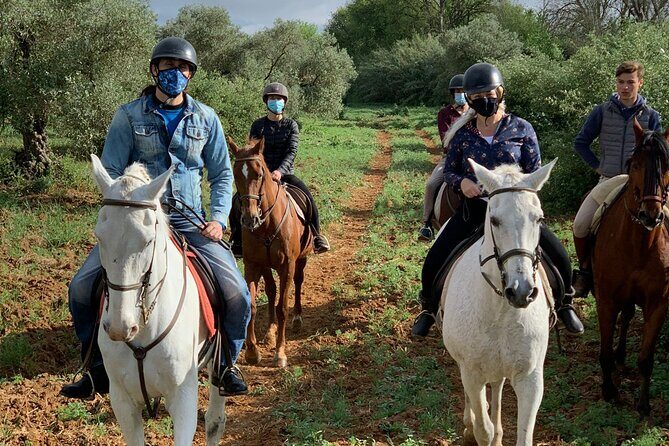 Granada & Sierra Nevada Horse Riding Tour - An Authentic Horseback Experience Near Granada