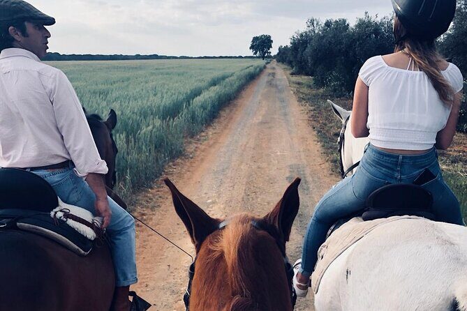 Granada & Sierra Nevada Horse Riding Tour - Why This Tour Works Well for Travelers