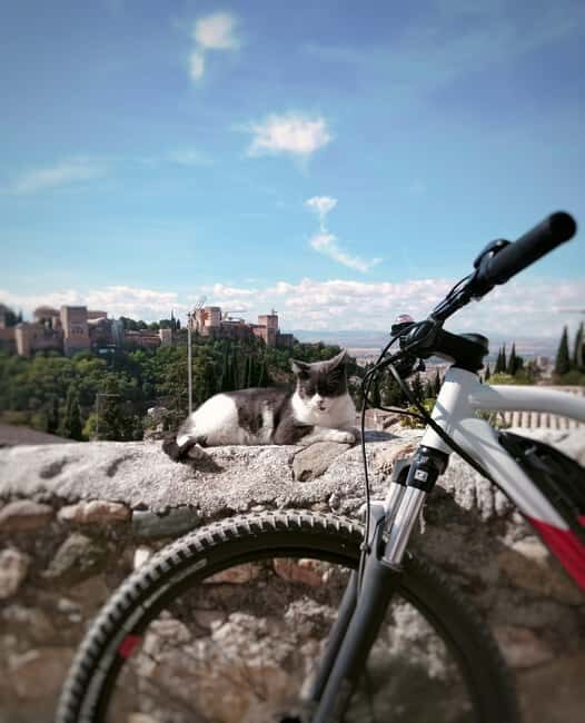 Granada: Slow E-bike Tour, explore the city on wheels with your senses - Exploring Granada on Two Wheels with a Purpose