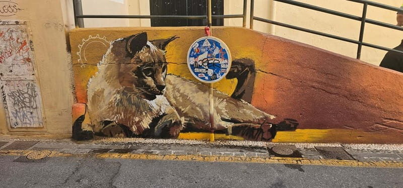 Granada: "Street Art & The Caves" Unique Guided Walking Tour - Final Thoughts: Who Is This Tour For?