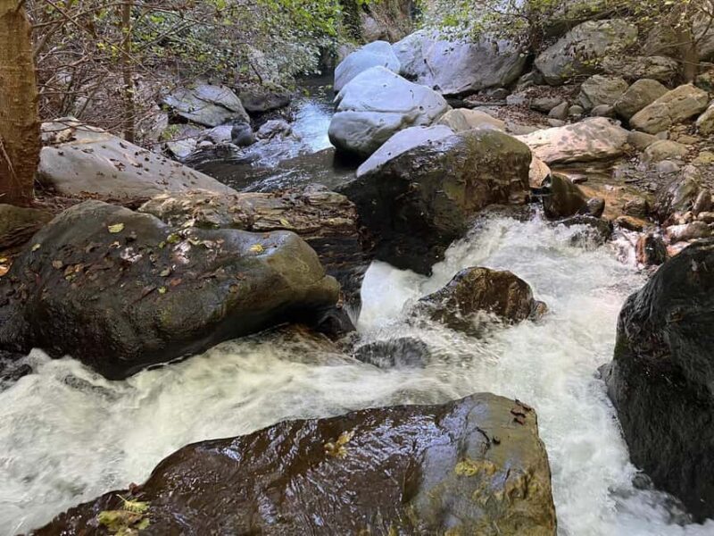 Granada: Tour of the Most Beautiful Villages of the Alpujarra of Granada - Who Is This Tour Best For?