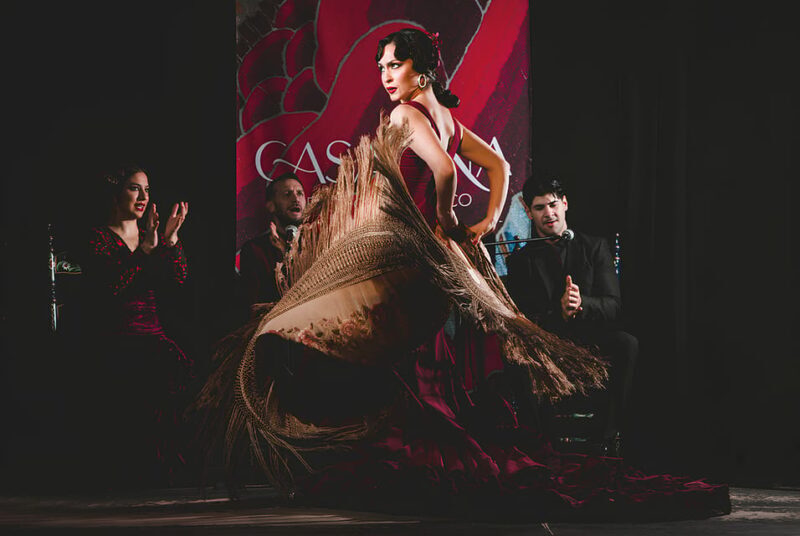 Granada: Traditional Flamenco Show at Tablao Casa Ana - What Makes Casa Ana Special