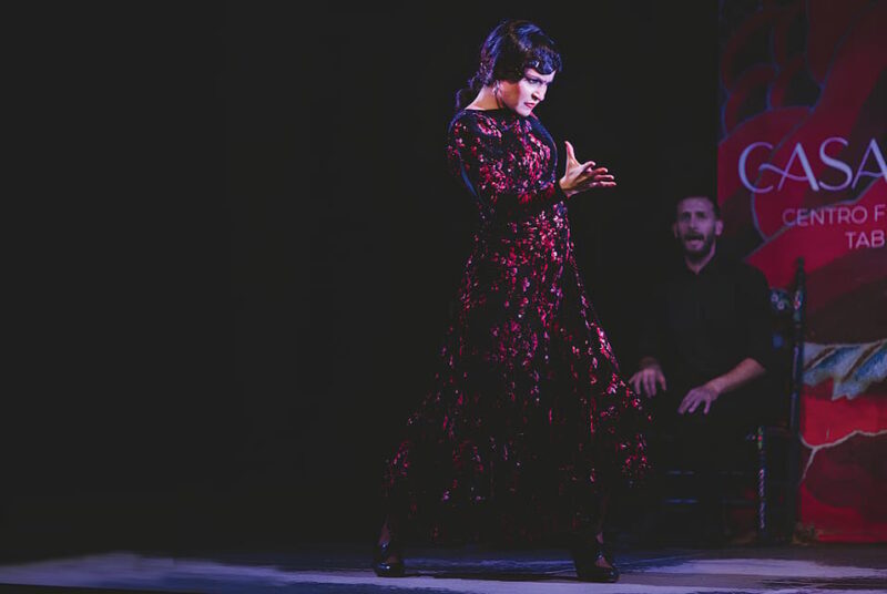 Granada: Traditional Flamenco Show at Tablao Casa Ana - Accessibility and Practical Details